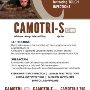 CAMOTRI-S