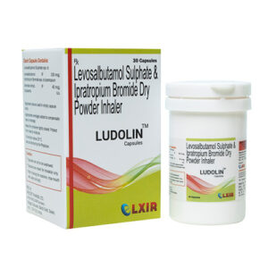 LUDOLIN (2)