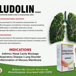 LUDOLIN Inhaler
