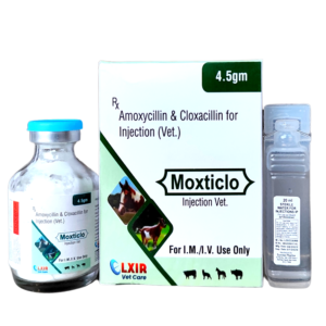 Moxticlo Amoxycillin & Cloxacillin for Injection