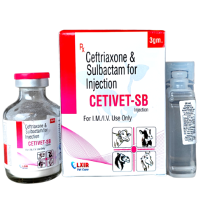 CETIVET-SB Ceftriaxone & Sulbactam for Injection