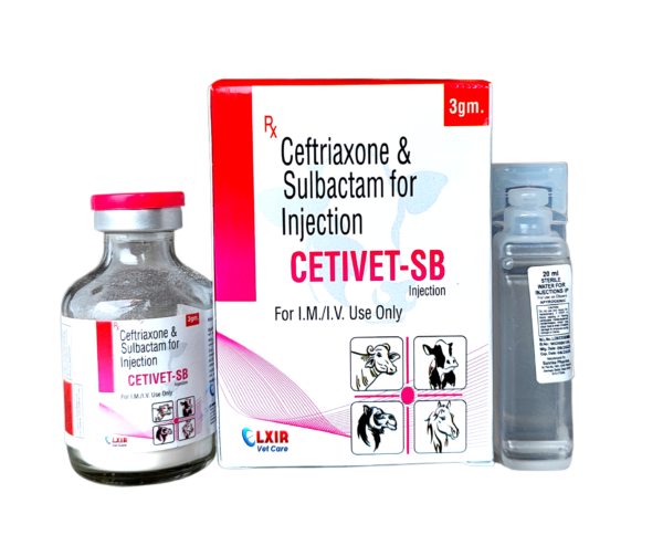 Ceftriaxone & Sulbactam for Injection 3gm (Veterinary) - CETIVET-SB
