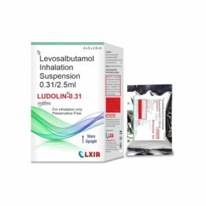 LUDOLIN 0.31