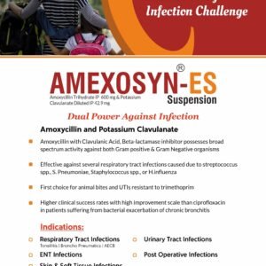 AMEXOSYN-ES Dry Syrup