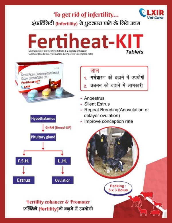 FERTIHEAT KIT - Clomephine Citrate & Copper Sulphate Product Pharma ...
