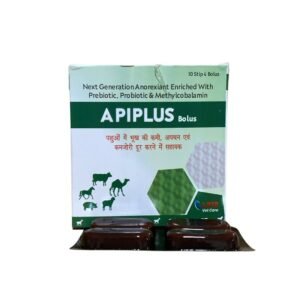 APIPLUS - Saccharomyces Cerevisiae, Lactobacillus Sporogenes etc