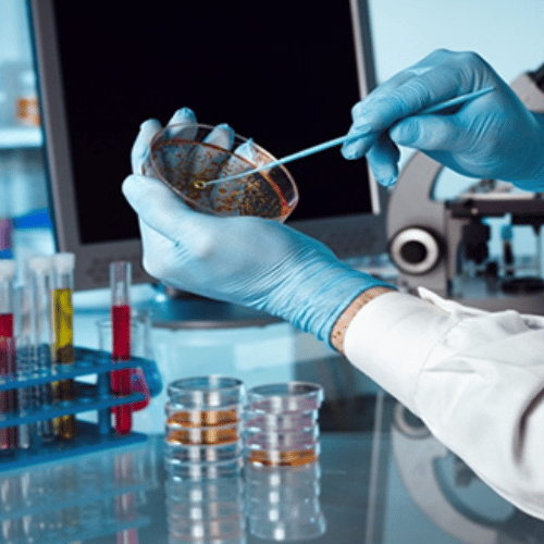 Start Pharma Franchise