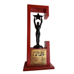 IPE-CIMS-award